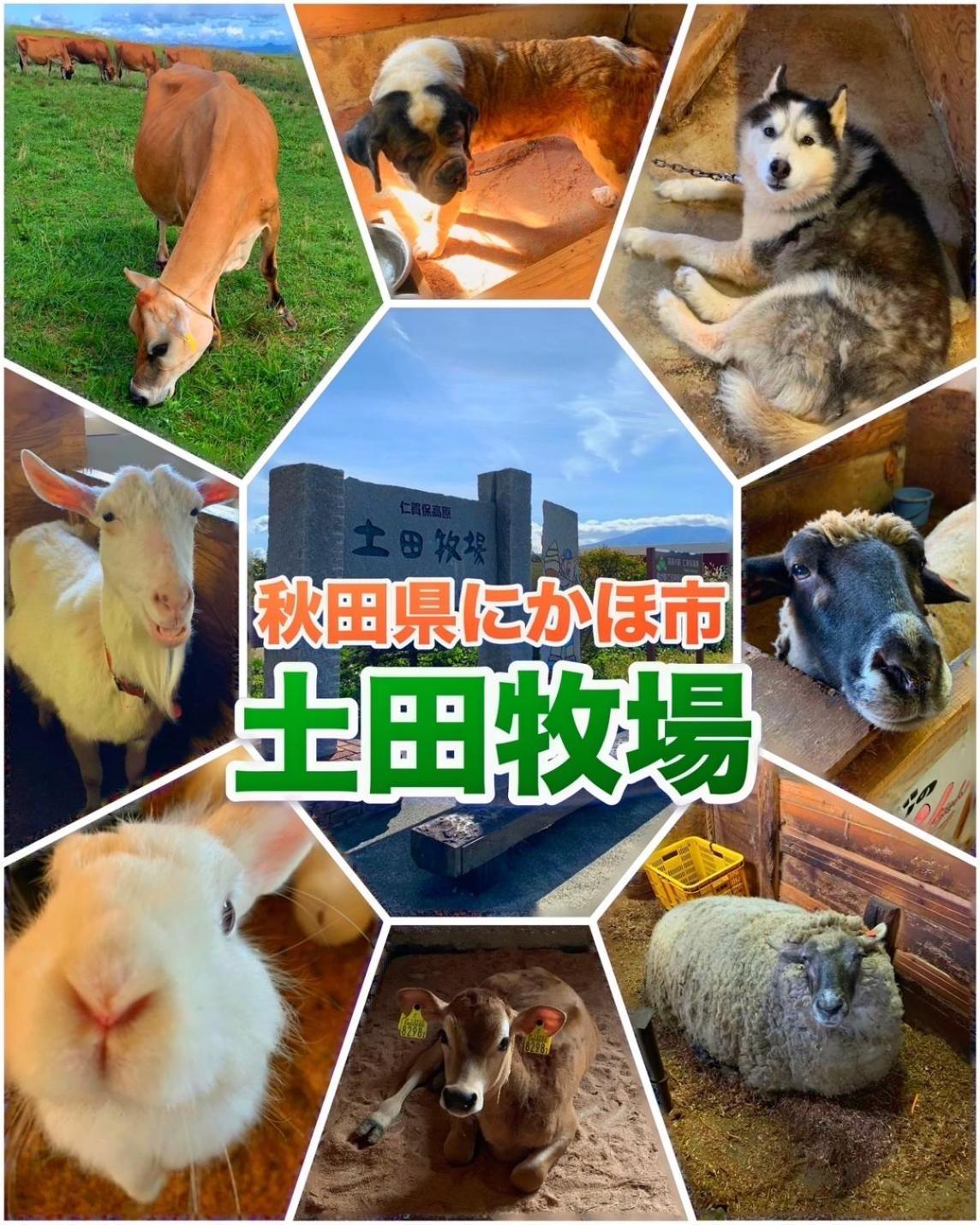 Hotel Dolphia-Adult Only Daisen  Экстерьер фото