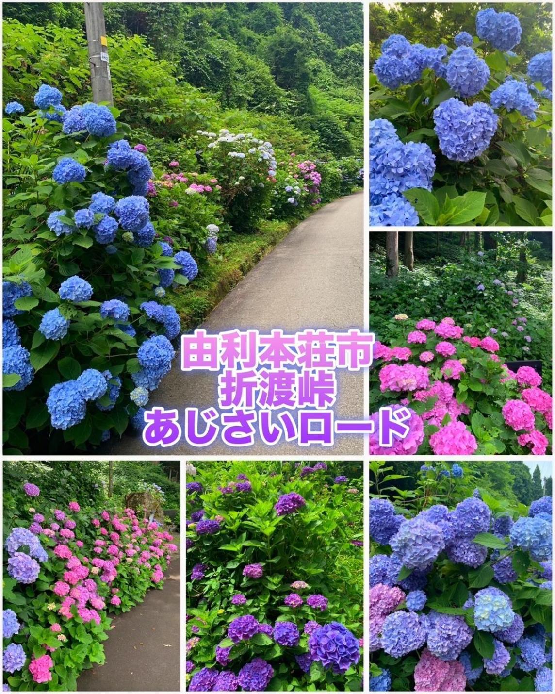 Hotel Dolphia-Adult Only Daisen  Экстерьер фото