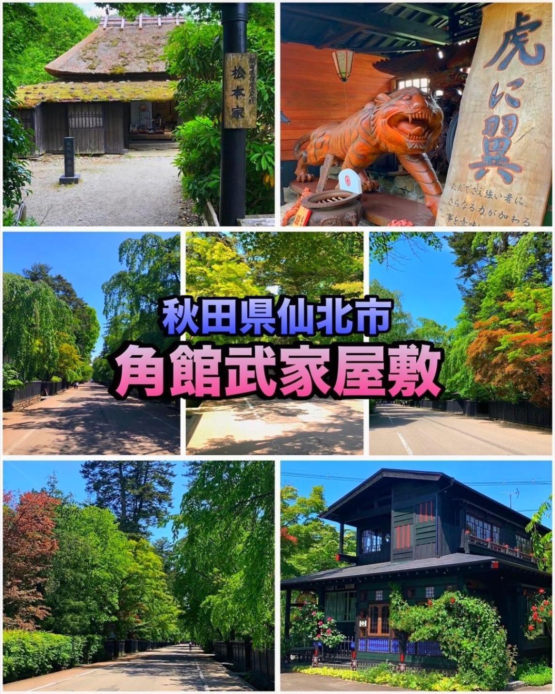 Hotel Dolphia-Adult Only Daisen  Экстерьер фото