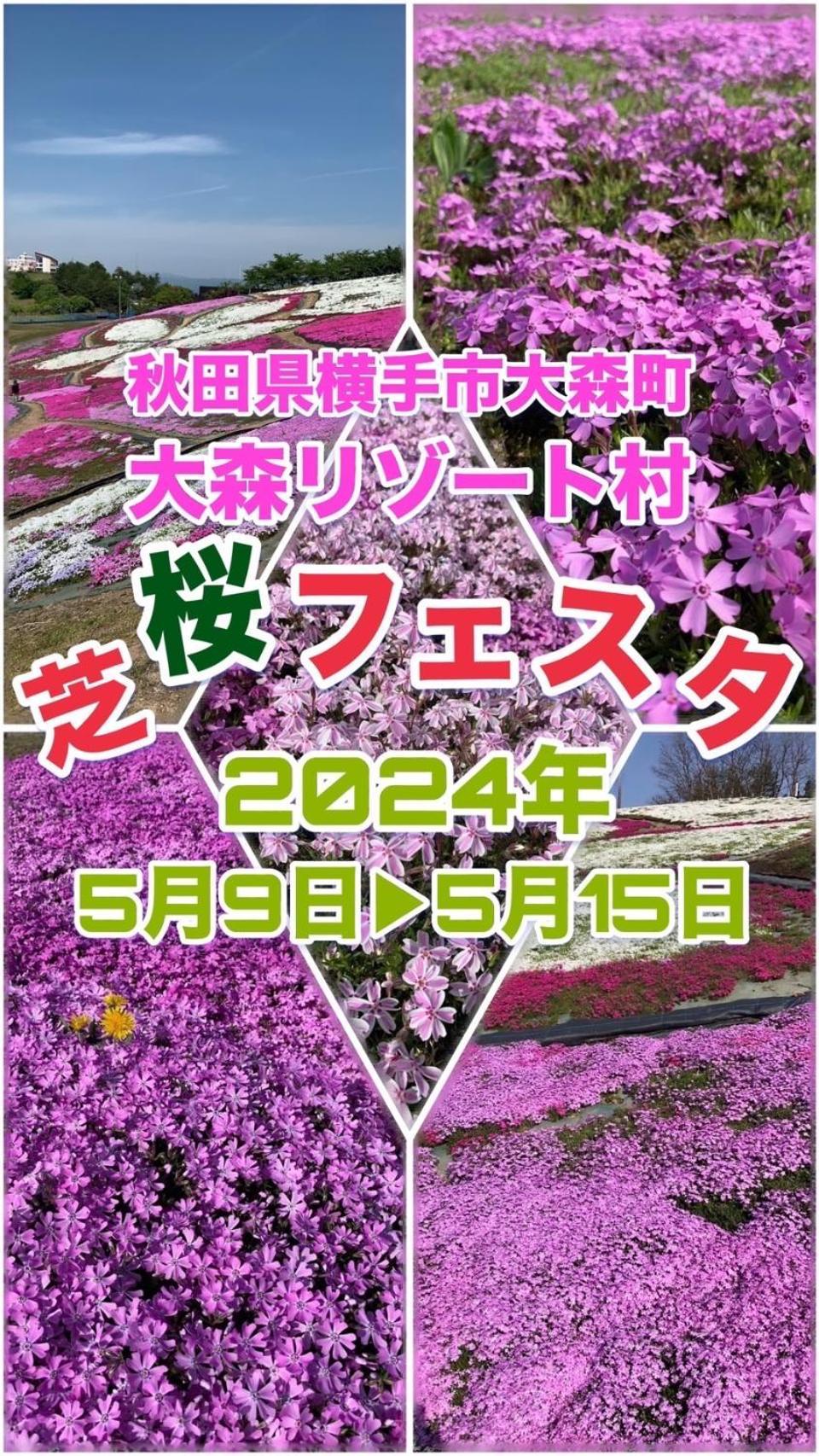 Hotel Dolphia-Adult Only Daisen  Экстерьер фото